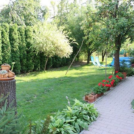 Privat Cerenica Appartement Belusa Buitenkant foto